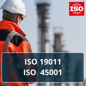 ISO 45001 + ISO 19011