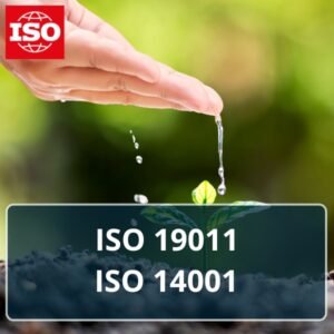 ISO 14001 + ISO 19011